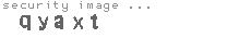 security image