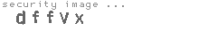 security image