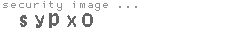 security image