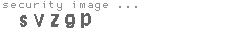 security image