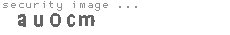 security image