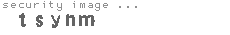 security image