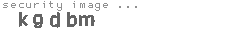 security image
