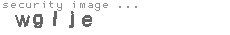 security image