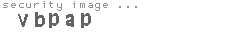 security image