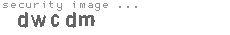 security image