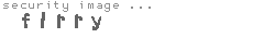 security image