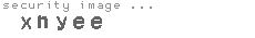 security image