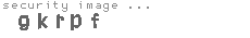 security image