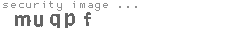 security image