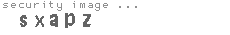 security image
