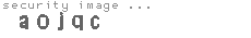 security image