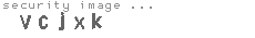security image