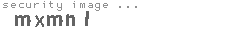 security image
