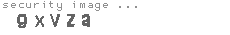 security image