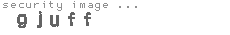 security image