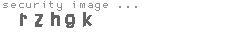 security image