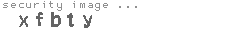 security image