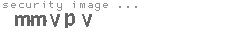 security image