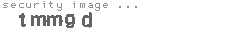 security image