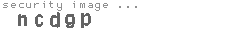 security image