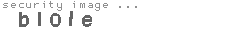 security image