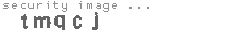security image