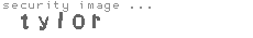 security image