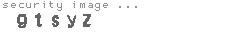 security image