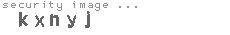 security image