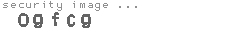security image