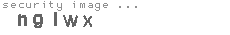 security image