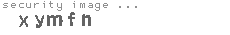 security image