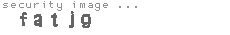 security image