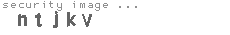 security image
