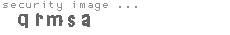 security image