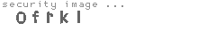 security image