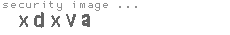security image