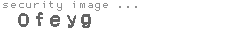security image