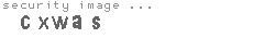 security image