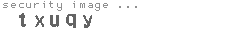 security image