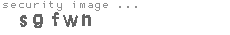 security image