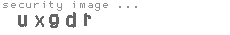 security image