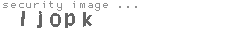 security image