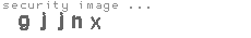 security image