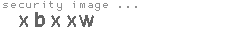security image