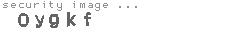 security image