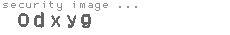 security image