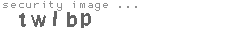 security image