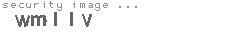 security image